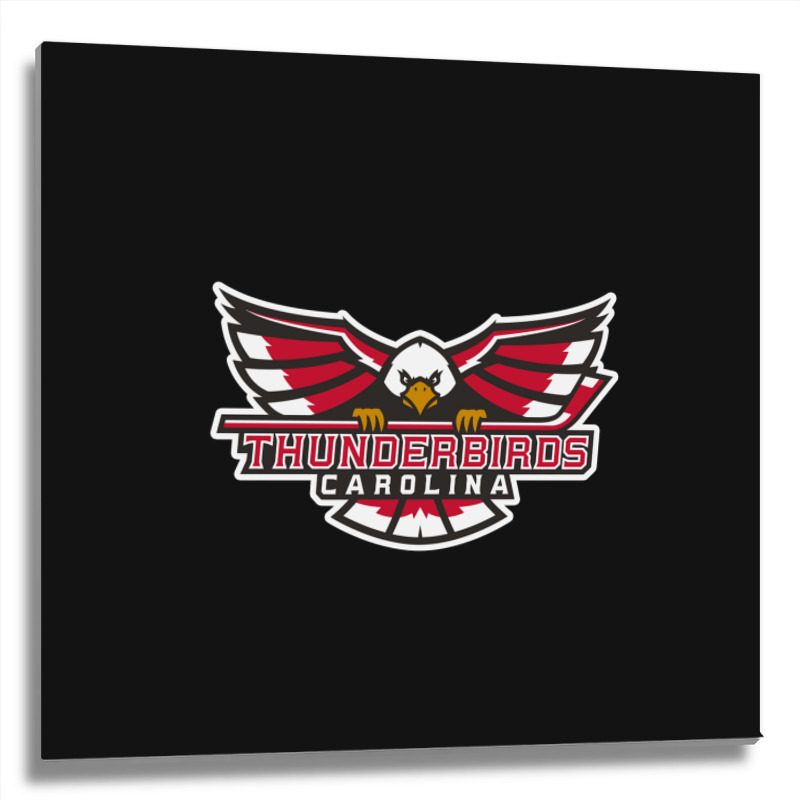 Carolina Thunderbirds Metal Print Square | Artistshot