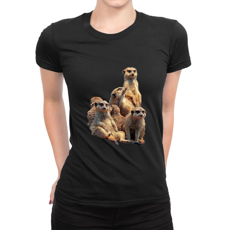 Lettertrunk Meerkat Family In The Kalahari Desert Ladies Fitted T-Shirt by StevenThomasHobert | Artistshot