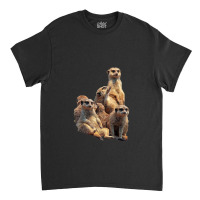 Lettertrunk Meerkat Family In The Kalahari Desert Classic T-shirt | Artistshot