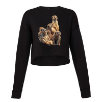 Lettertrunk Meerkat Family In The Kalahari Desert Cropped Sweater | Artistshot