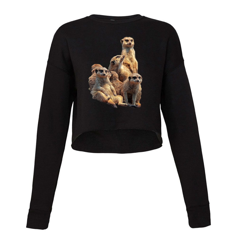 Lettertrunk Meerkat Family In The Kalahari Desert Cropped Sweater by StevenThomasHobert | Artistshot