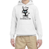 It Is Fine I Am Fine Everything Is Fine Funny Cat Youth Hoodie | Artistshot