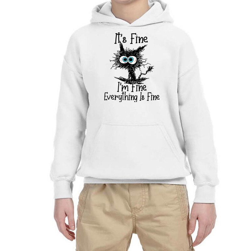 It Is Fine I Am Fine Everything Is Fine Funny Cat Youth Hoodie | Artistshot