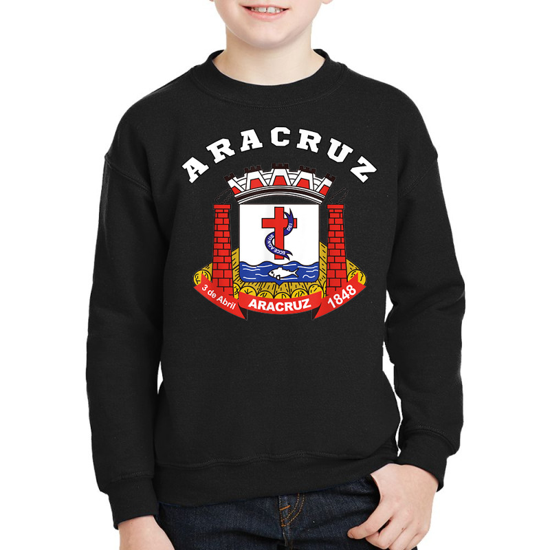 Aracruz Coat Of Arms Flag National Pride Gift Souvenir T Shirt Youth Sweatshirt by enaqr0esch | Artistshot