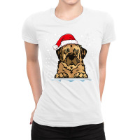 Womens Anatolian Shepherd Dog Christmas Santa Hat Matching Family V Ne Ladies Fitted T-shirt | Artistshot