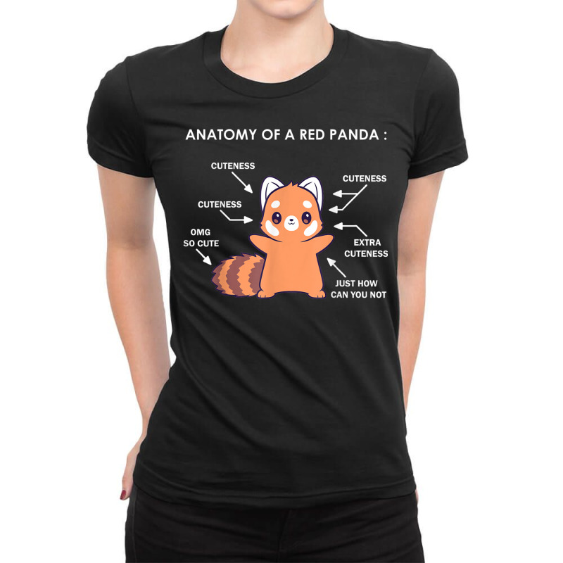 Anatomy Of A Red Panda Science Zoologist Red Panda Anatomy T Shirt Ladies Fitted T-Shirt by hin | Artistshot