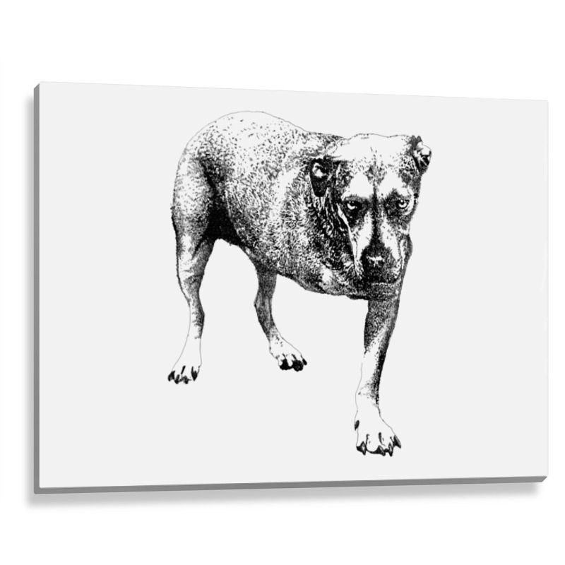 Grunge Album Metal Print Horizontal | Artistshot