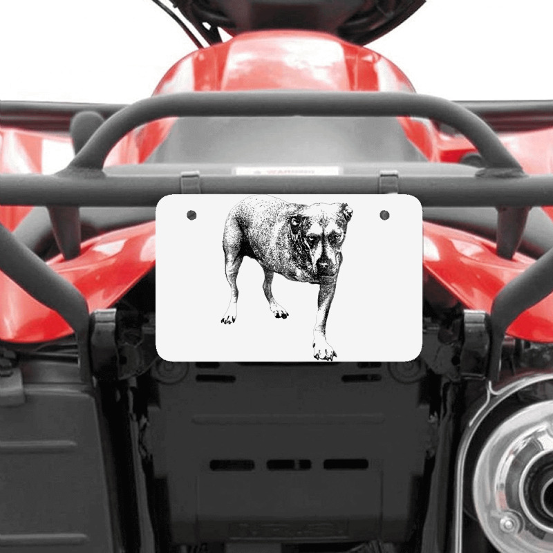 Grunge Album Atv License Plate | Artistshot