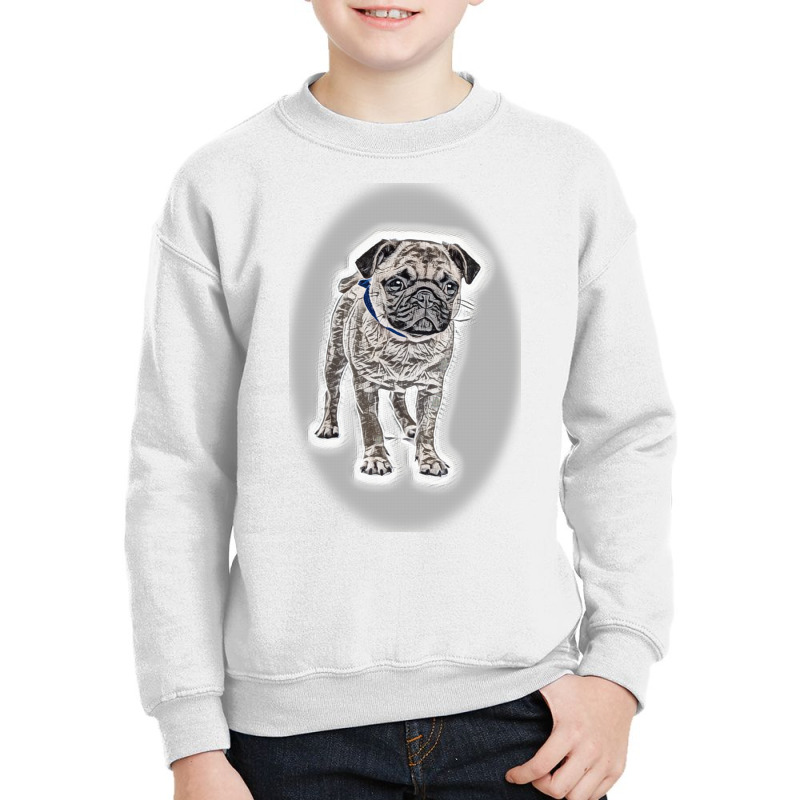 Different Dogs Looking Up Isond Youth Sweatshirt by Kemnabi | Artistshot