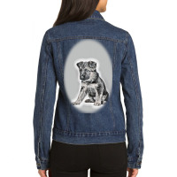 Red Dog Dachshund And Gray-bred Background Ladies Denim Jacket | Artistshot