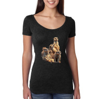 Lettertrunk Meerkat Family In The Kalahari Desert Women's Triblend Scoop T-shirt | Artistshot