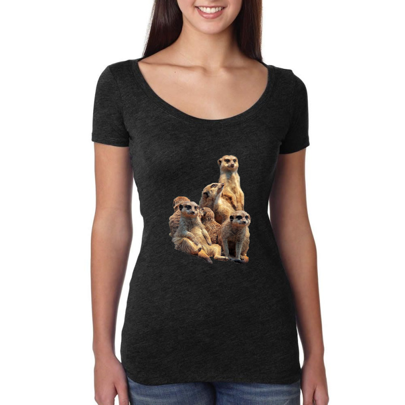 Lettertrunk Meerkat Family In The Kalahari Desert Women's Triblend Scoop T-shirt by BenSamirDarwish | Artistshot