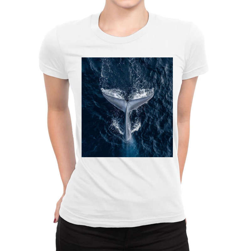 Whale Tail Ladies Fitted T-Shirt by RamaArt | Artistshot