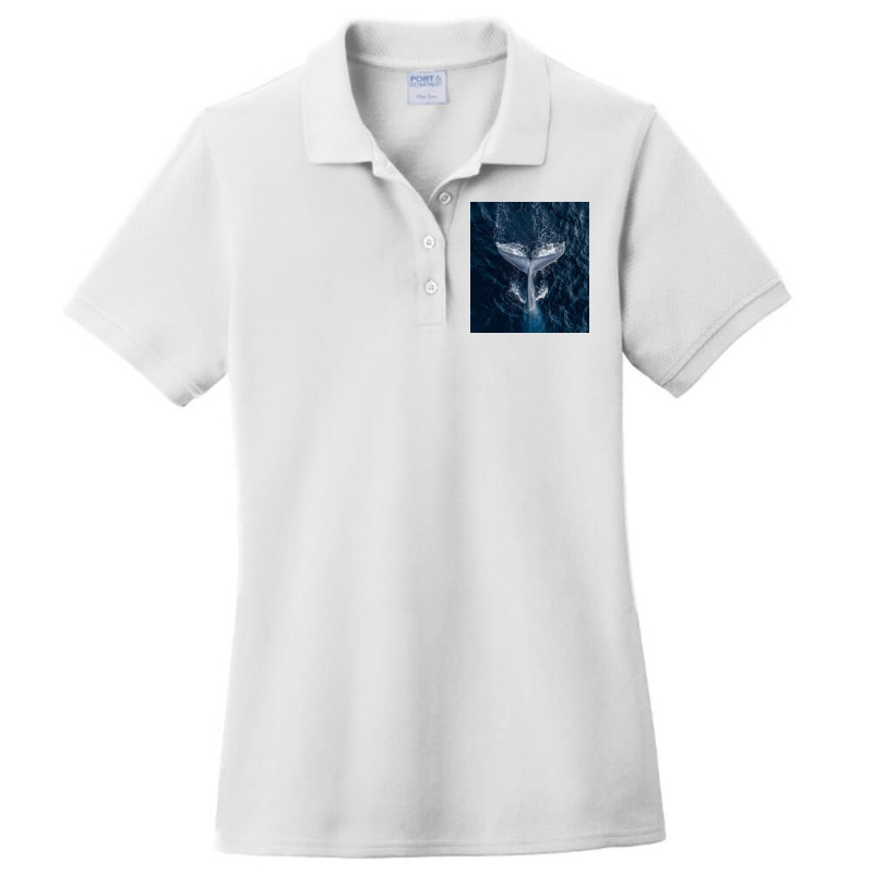 Whale Tail Ladies Polo Shirt by RamaArt | Artistshot