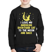 I Love My American Shorthair Cat To Moon Cat Lover Funny T Shirt Youth Sweatshirt | Artistshot