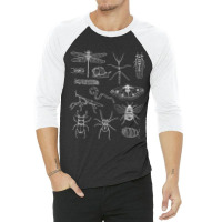 Minibeasts Insects And Invertebrates Drawings 3/4 Sleeve Shirt | Artistshot