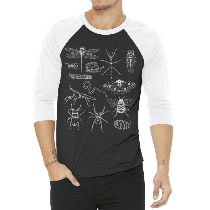 Minibeasts Insects And Invertebrates Drawings 3/4 Sleeve Shirt | Artistshot