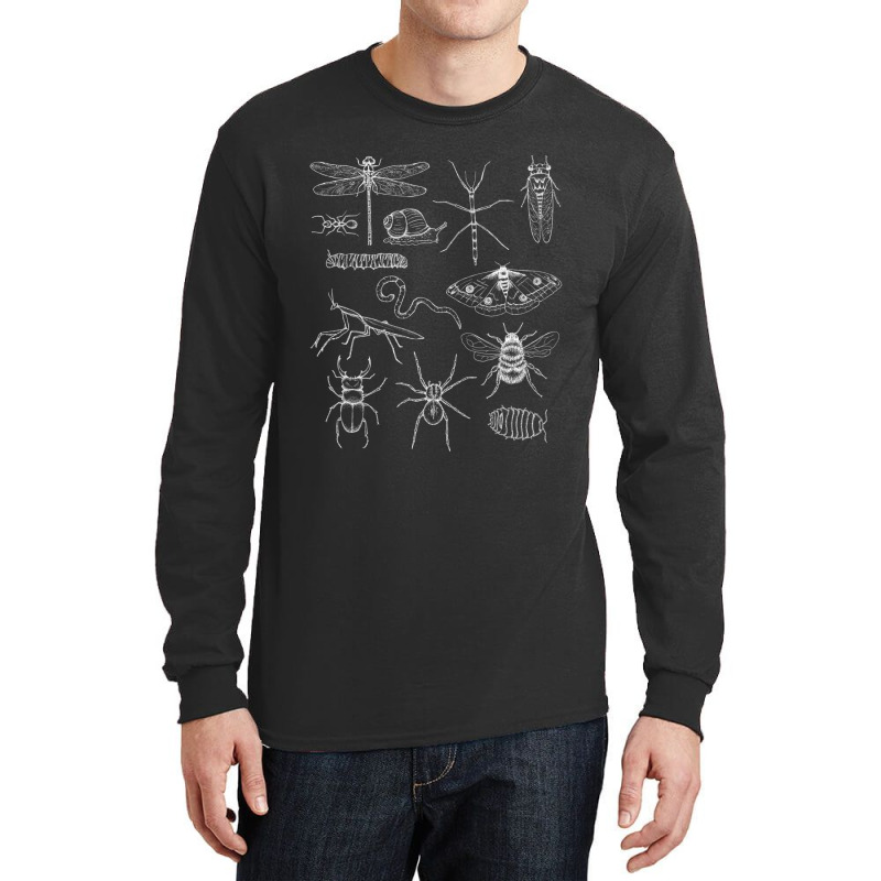 Minibeasts Insects And Invertebrates Drawings Long Sleeve Shirts | Artistshot