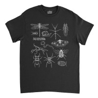 Minibeasts Insects And Invertebrates Drawings Classic T-shirt | Artistshot