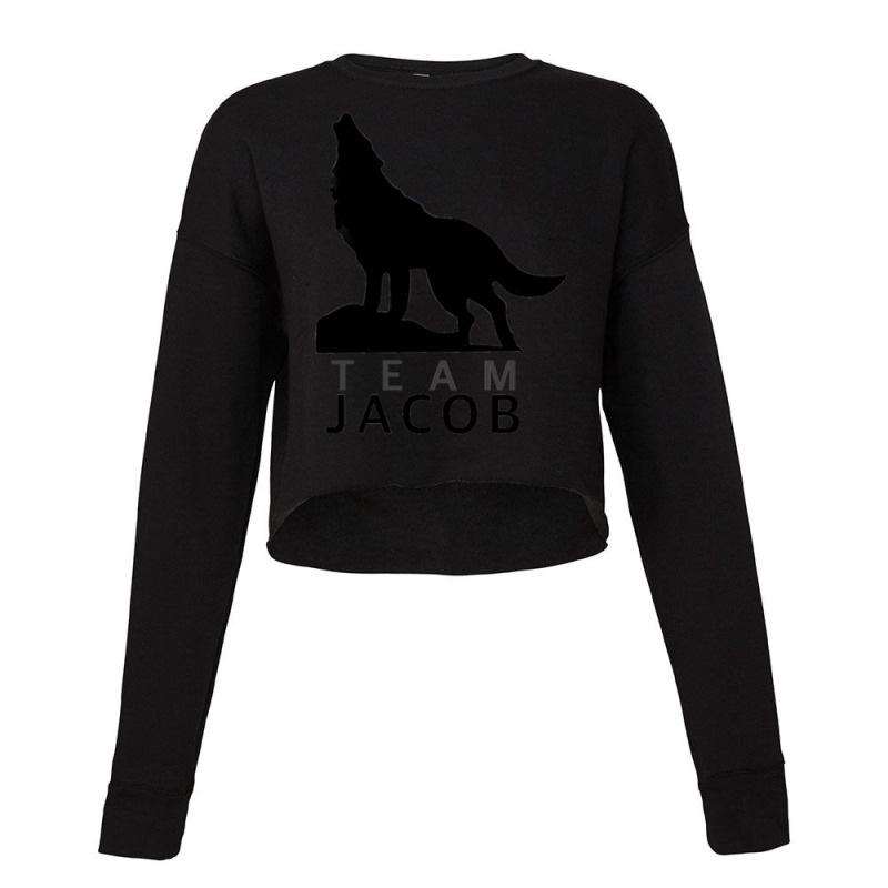 Team Jacob Cropped Sweater by ANITRAMATHIS | Artistshot