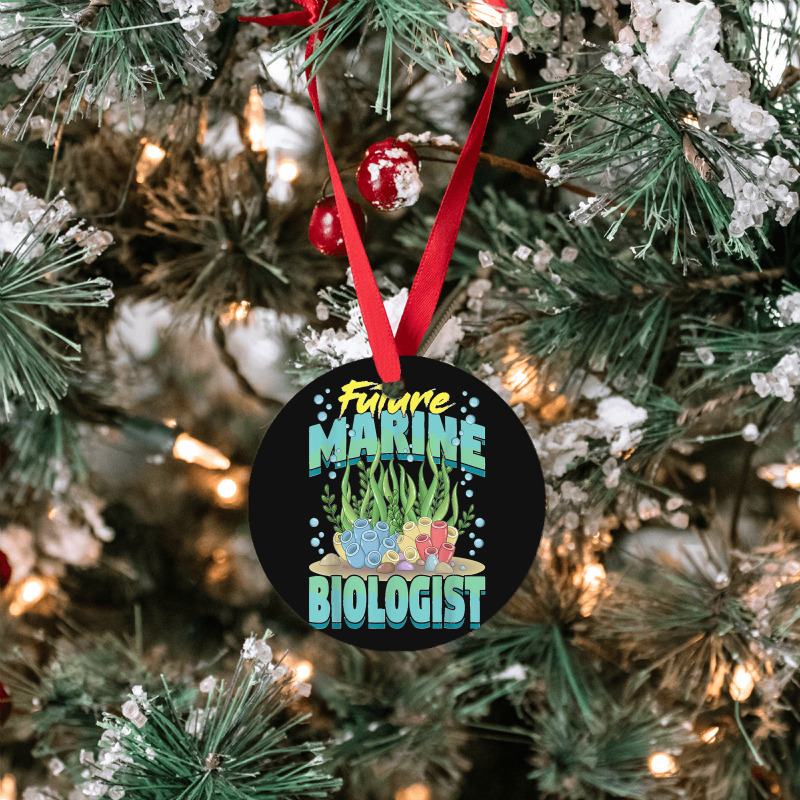 Future Marine Biologist Ocean Life Marine Biology Student Ornament | Artistshot