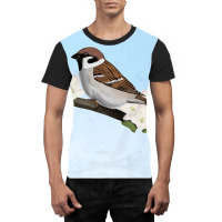 House Sparrow Bird Birder Birdlover Birdwatcher Biologist Premium Graphic T-shirt | Artistshot