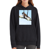 House Sparrow Bird Birder Birdlover Birdwatcher Biologist Premium Vintage Hoodie | Artistshot