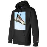 House Sparrow Bird Birder Birdlover Birdwatcher Biologist Premium Champion Hoodie | Artistshot