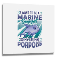 Marine Biologist Life Has Porpoise T Shirt Metal Print Square | Artistshot