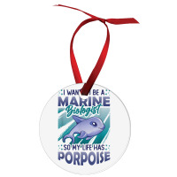 Marine Biologist Life Has Porpoise T Shirt Ornament | Artistshot