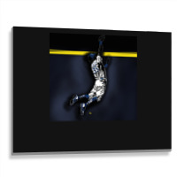 Bellinger Metal Print Horizontal | Artistshot