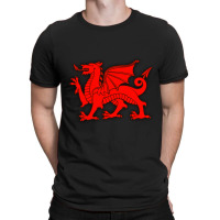 Owain Glyndwr T-shirt | Artistshot