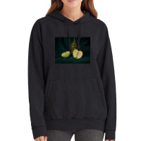 Apples And Canister Premium Vintage Hoodie | Artistshot