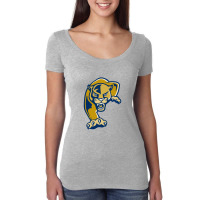 Florida International Panthers Women's Triblend Scoop T-shirt | Artistshot