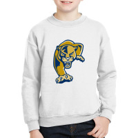 Florida International Panthers Youth Sweatshirt | Artistshot