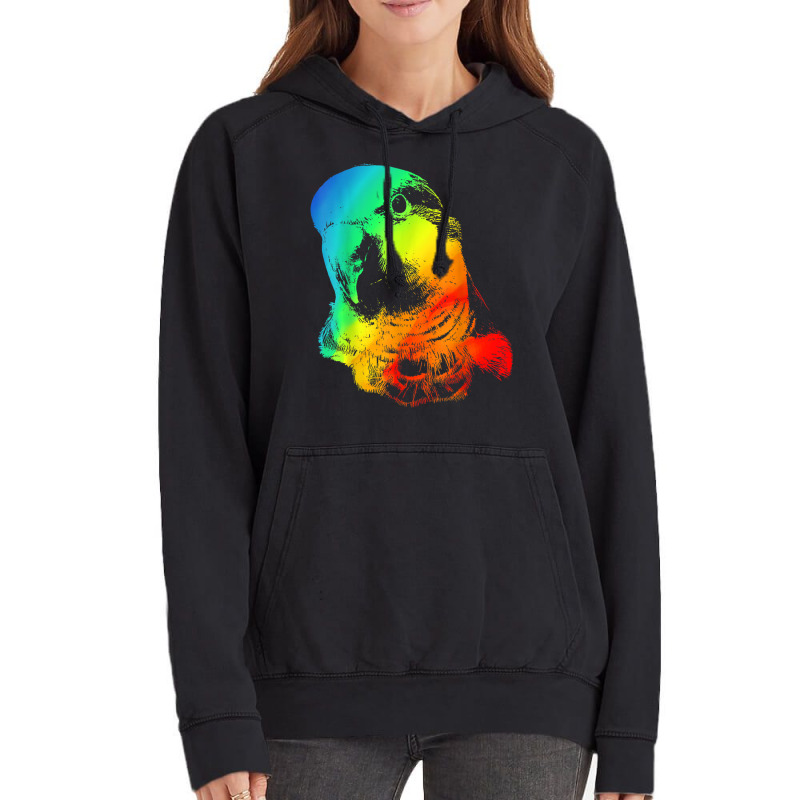 Quaker Parrot Colorful Rainbow Retro Vintage Hoodie | Artistshot