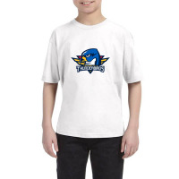 The Springfield Thunderbirds Youth Tee | Artistshot