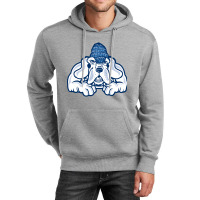 John Jay Academic Of Criminal Justice (john Jay) Unisex Hoodie | Artistshot