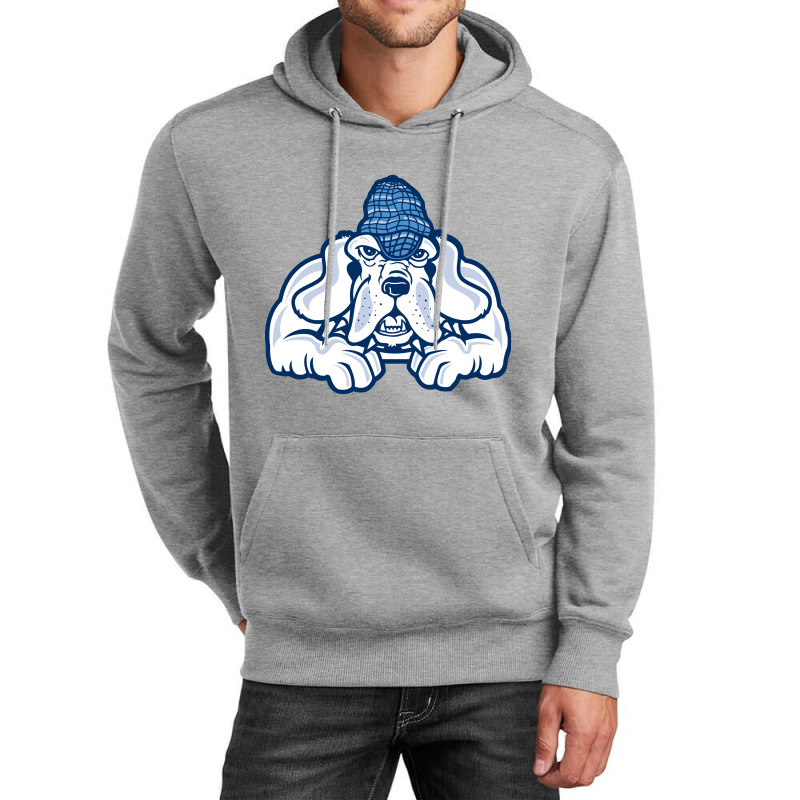 John Jay Academic Of Criminal Justice (john Jay) Unisex Hoodie | Artistshot