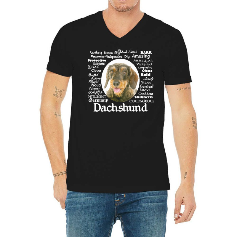 Dachshund T  Shirt Wirehaired Dachshund Traits T  Shirt V-Neck Tee by hiram84349 | Artistshot