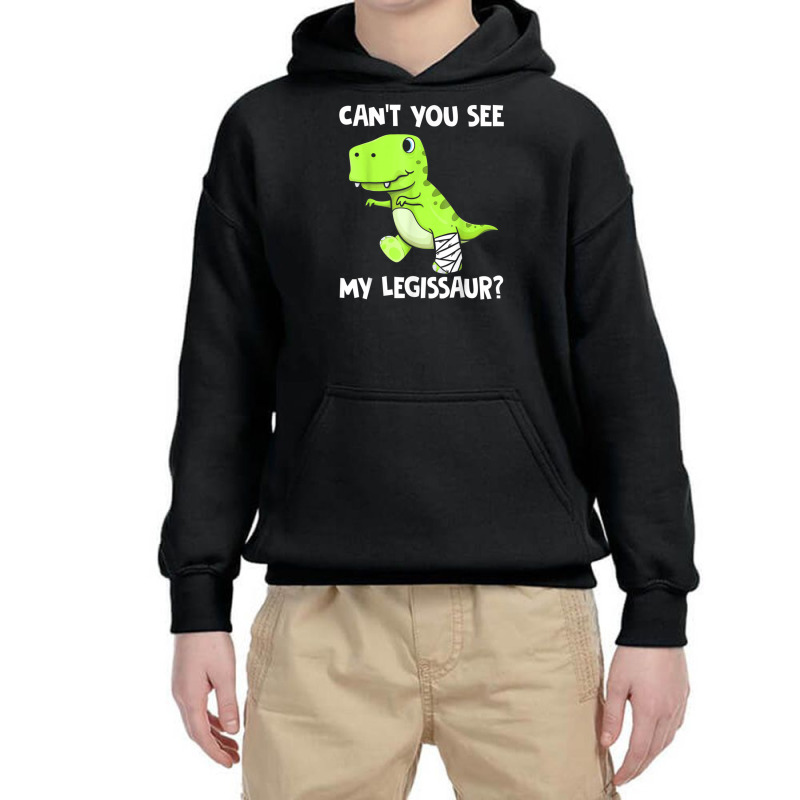 Can't You See My Legissaur Broken Leg T-rex Dinosaur Youth Hoodie by rastyrocl | Artistshot