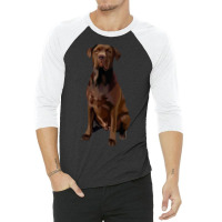 Sitting Dog Sittingvector Art 3/4 Sleeve Shirt | Artistshot