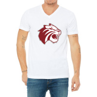 Trinity University V-neck Tee | Artistshot