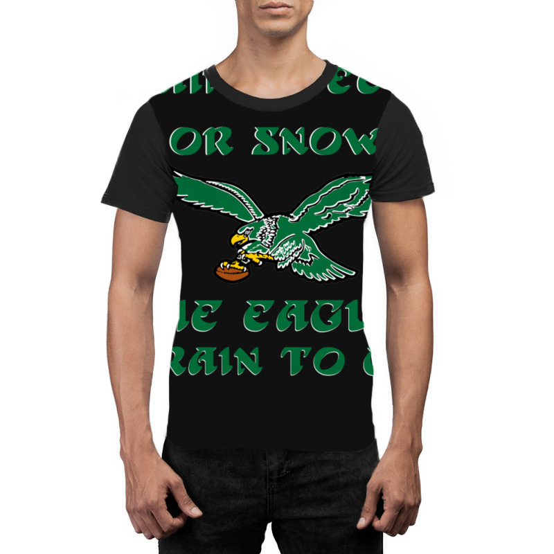 Rain Sleet Or Snow Birds Graphic T-shirt by StarActon | Artistshot