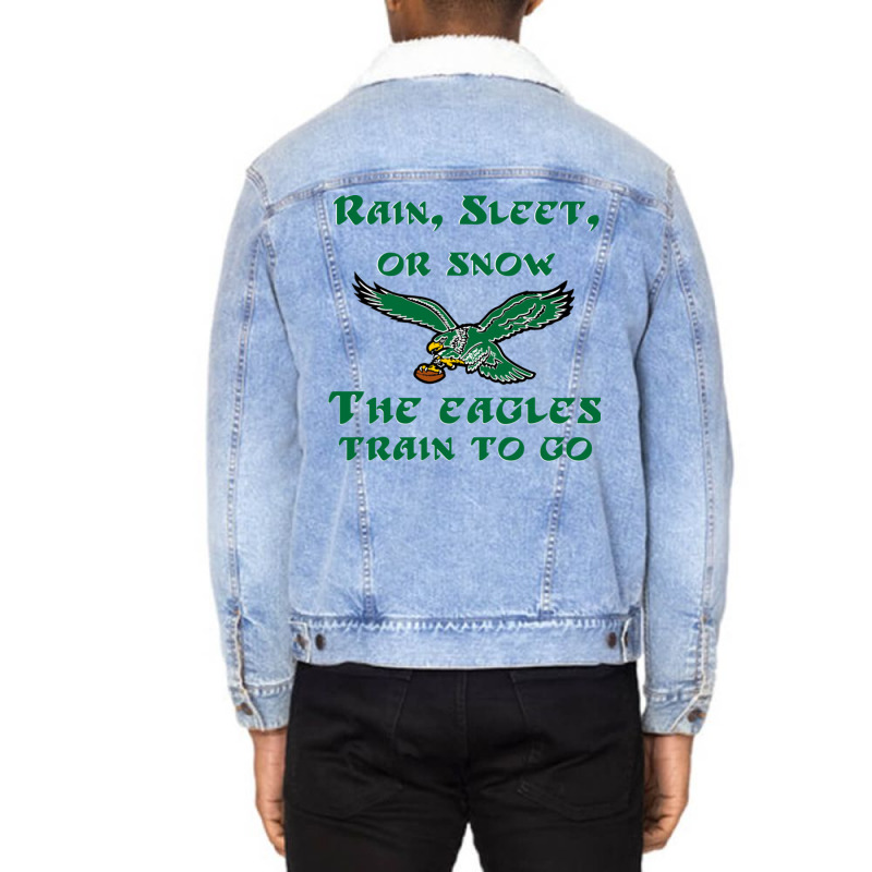 Rain Sleet Or Snow Birds Unisex Sherpa-Lined Denim Jacket by StarActon | Artistshot