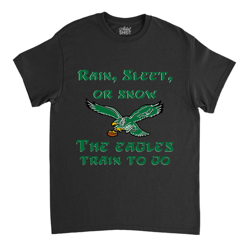 Rain Sleet Or Snow Birds Classic T-shirt by StarActon | Artistshot