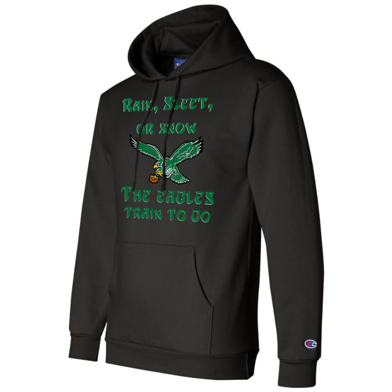 Rain Sleet Or Snow Birds Champion Hoodie by StarActon | Artistshot