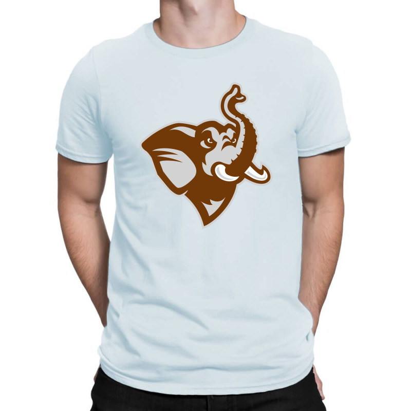 Tufts University T-shirt | Artistshot