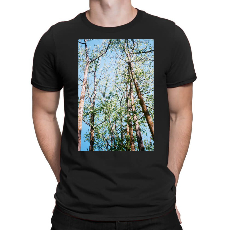 Mystic Forest T-Shirt by KarrieLBreuer | Artistshot