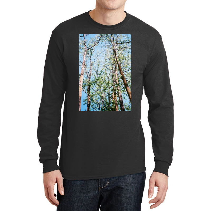 Mystic Forest Long Sleeve Shirts by KarrieLBreuer | Artistshot